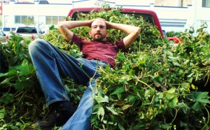 Ben Flerchinger takes a break in an itchy pile of hop bines