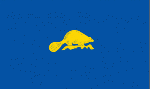 The Oregon flag, is the only state flag with two differing sides