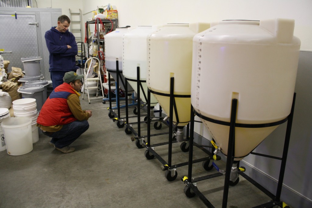 Vertigo's Mike Haines (standing) and Ben Edmunds inspect fermenting beer in Vertigo's current system