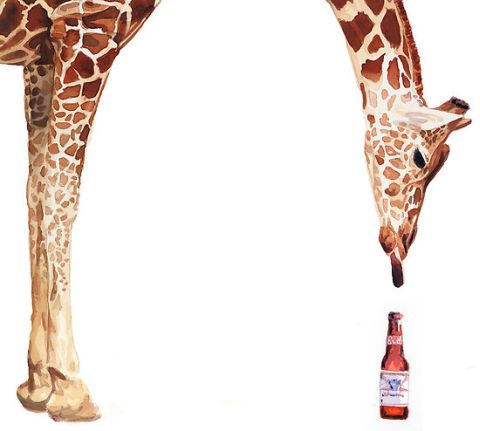 Giraffe with beer