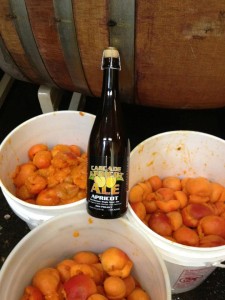 2011 Cascade Apricot Ale
