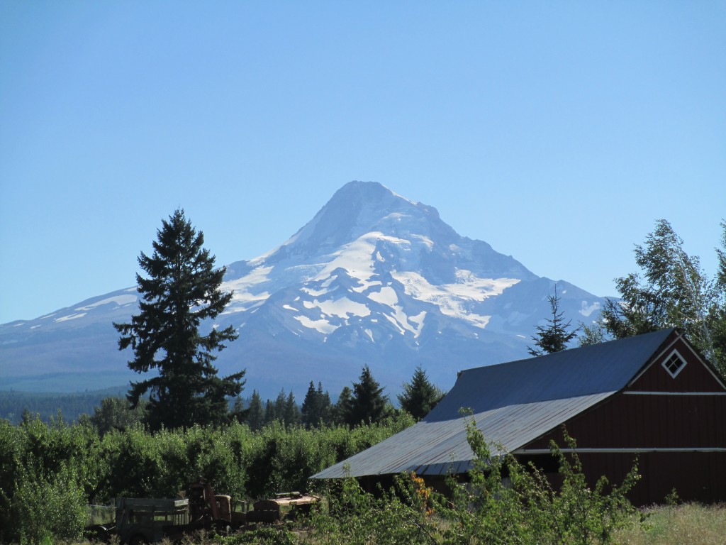 View of Mt. Hood from back patio/beer garden at Solera Brewery (photo by Terry Metcalf)