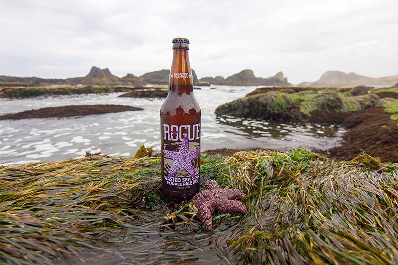 Rogue Wasted Sea Star Purple Pale Ale (photo courtesy of Rogue Ales Facebook Page)