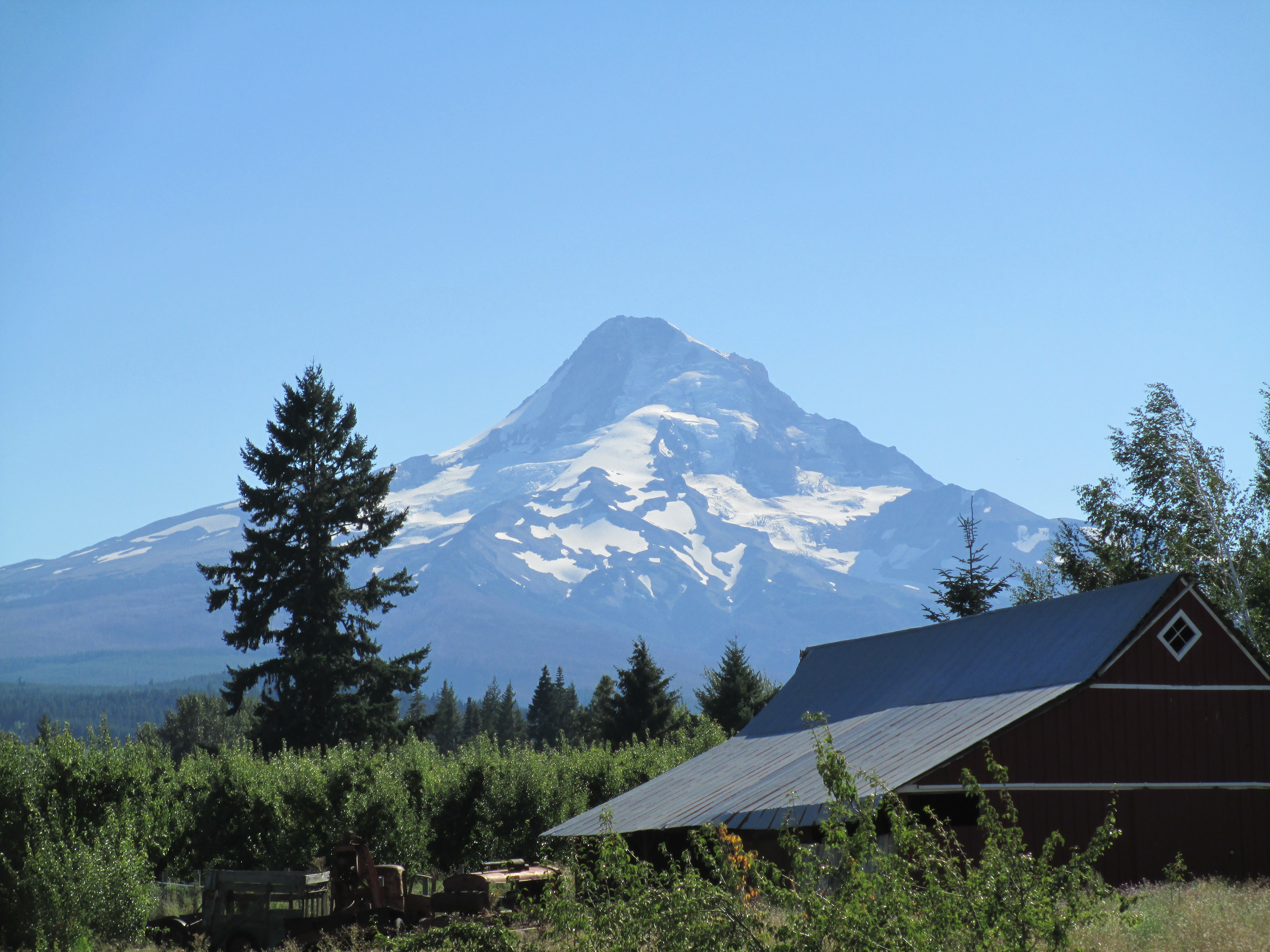 View of Mt. Hood from Solera Brewery