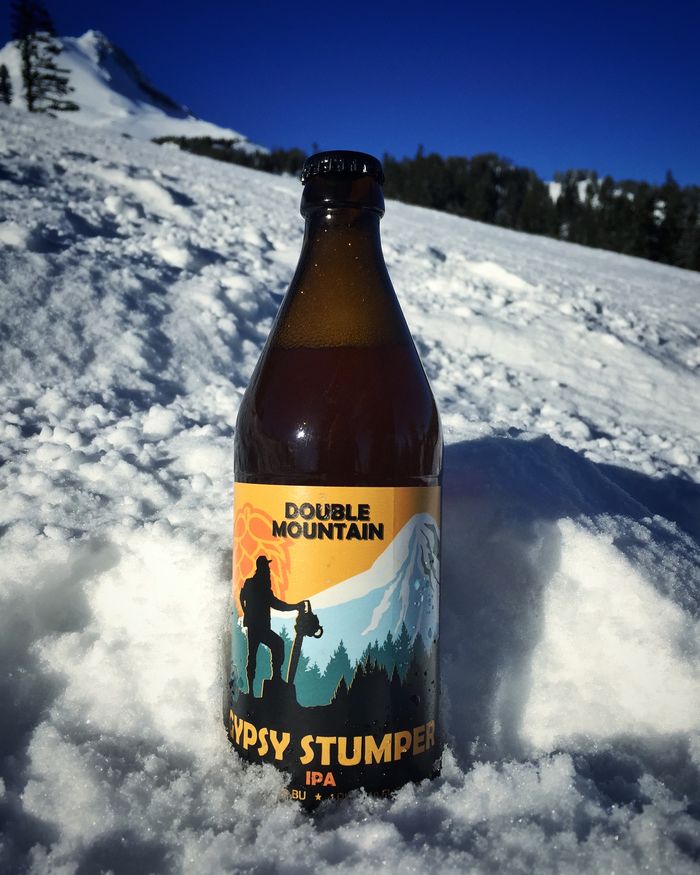 Gypsy Stumper IPA on Mt. Hood (image courtesy of Double Mountain Brewery)