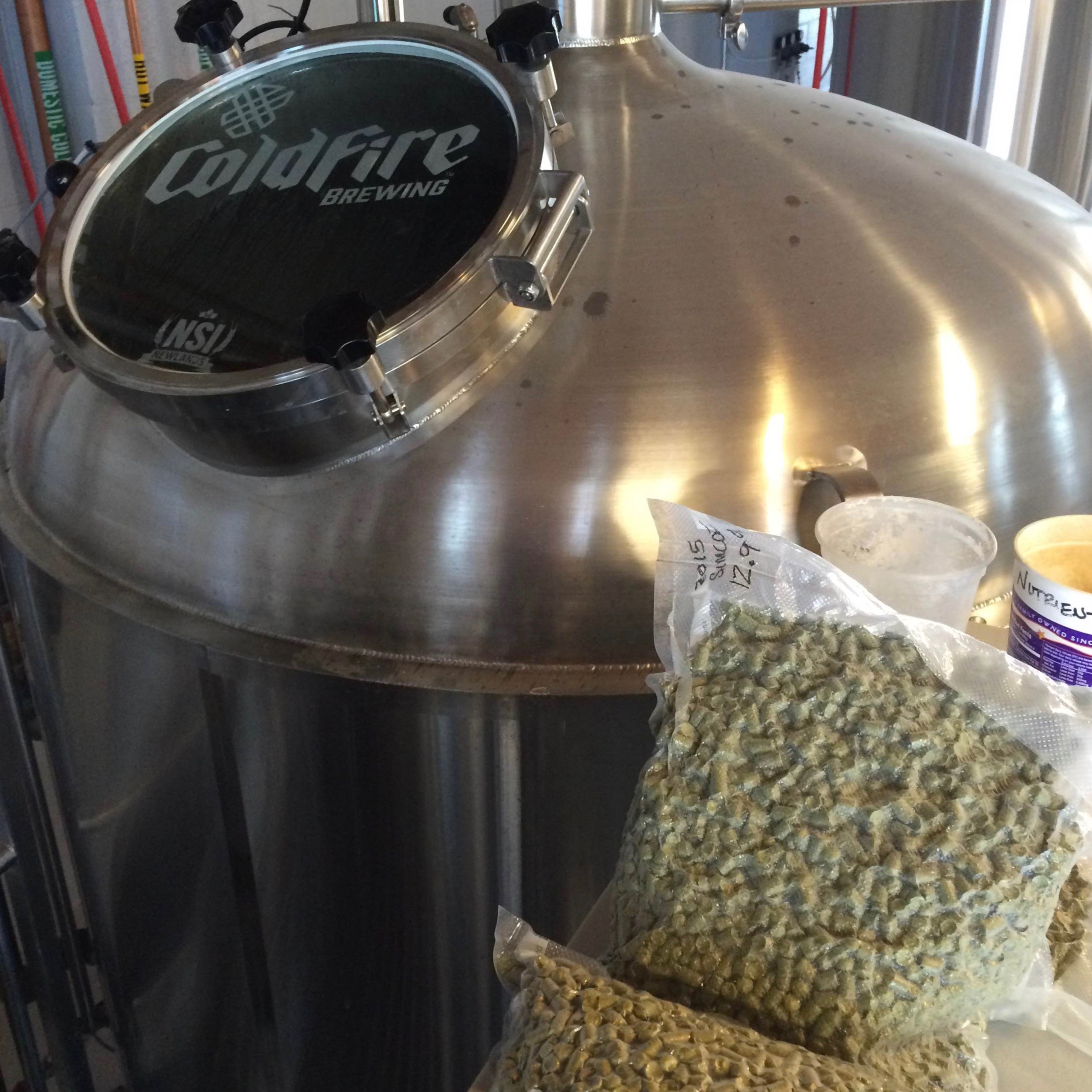 The hops are ready for the KLCC Microbrew Fest beer at ColdFire Brewing with Alesong (photo by Matt Van Wyk)