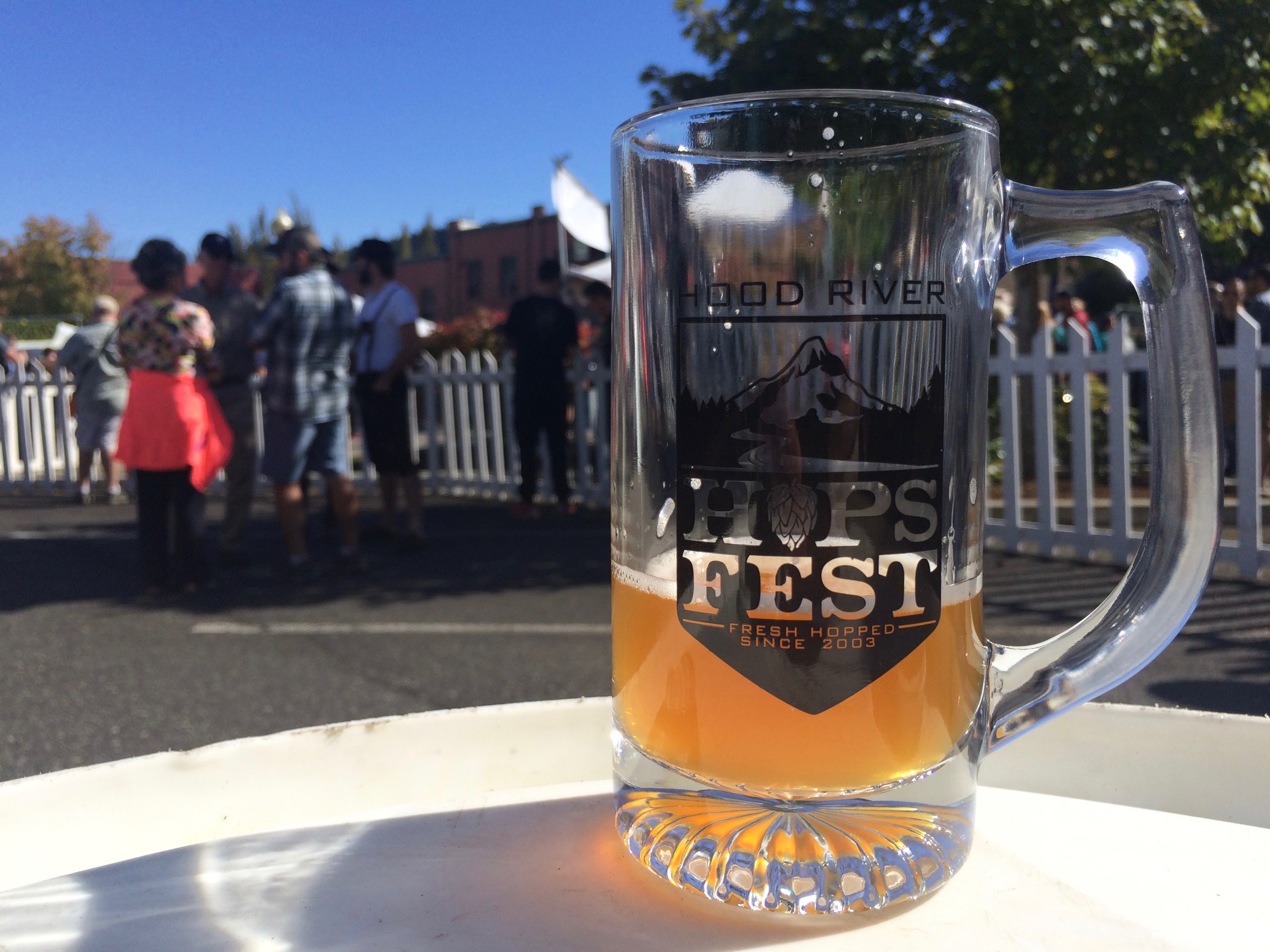 A glass mug at the 2015 Hood River Hops Fest.