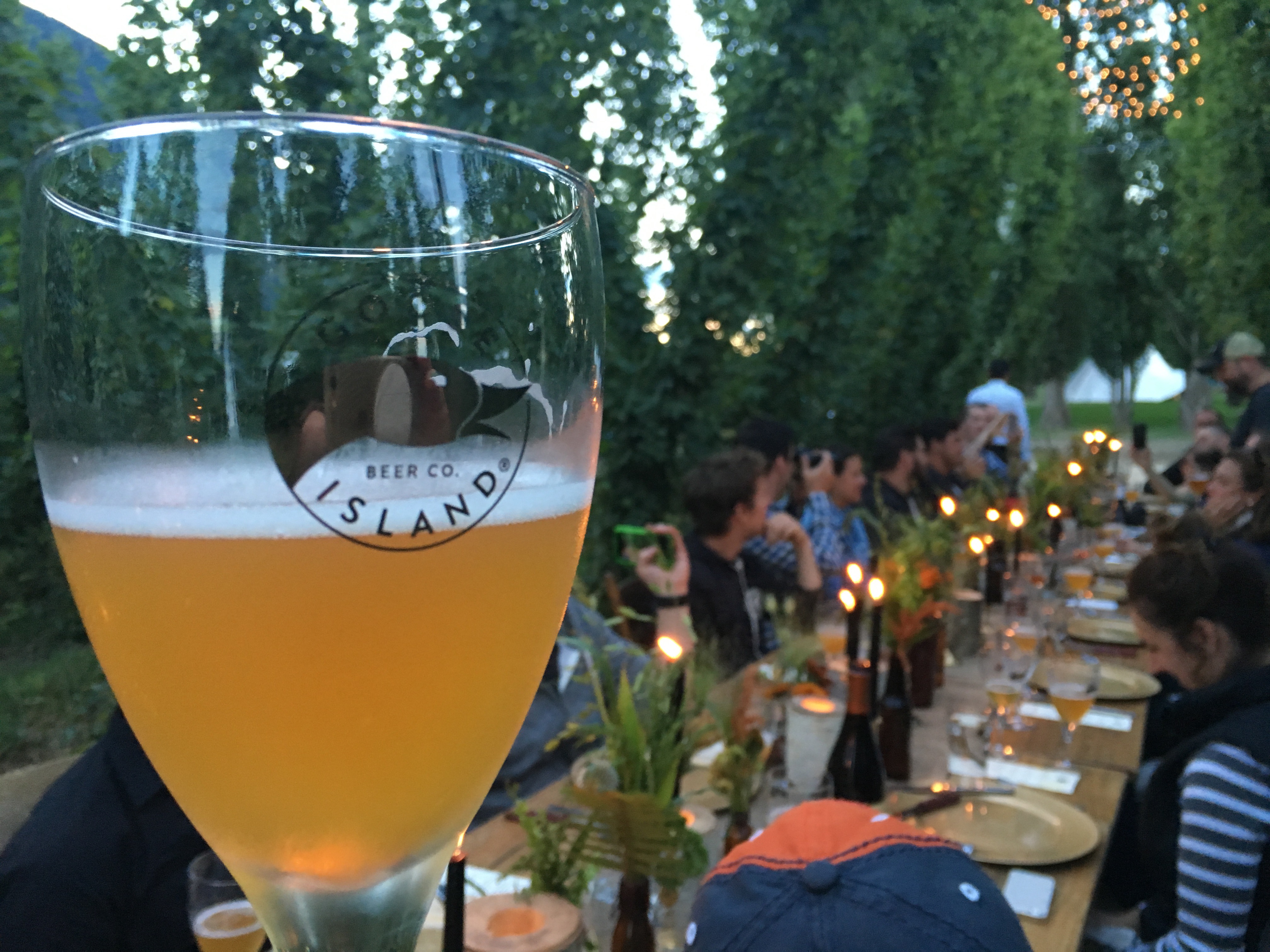 A glass of Goose Island during the Farewell Beer Dinner at Elk Mountain Farms.