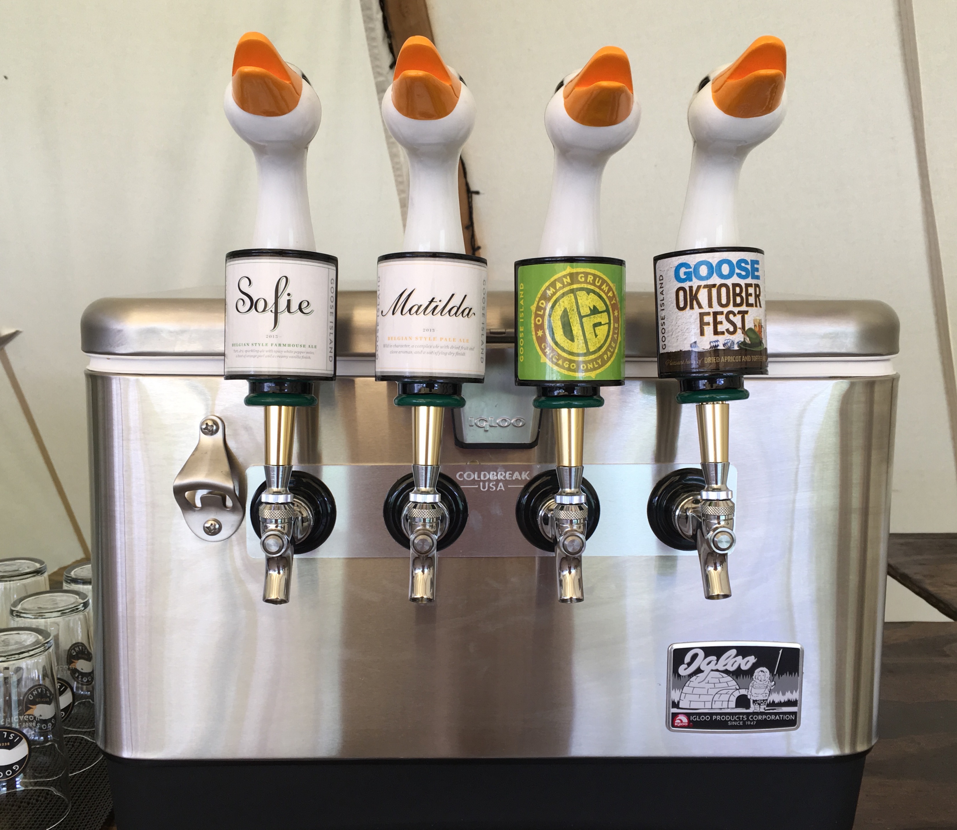 Four of the Goose Island taps at Elk Mountain Farms including the Chicago only release of Old Man Grumpy Pale Ale. This beer was very popular with the guests.