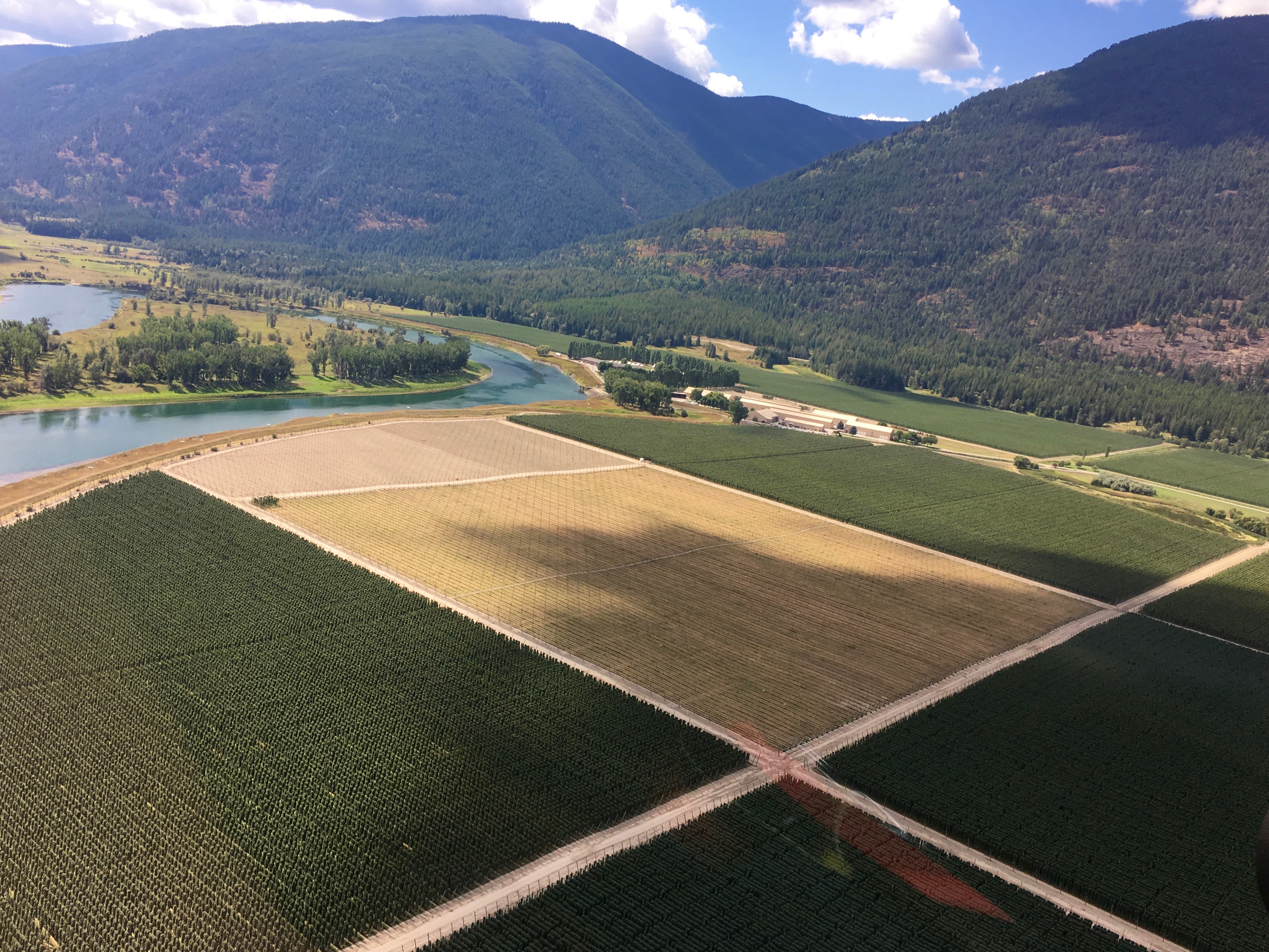 Looking at part of the 1,700 acres at Elk Mountain Farms from our helicopter ride in.