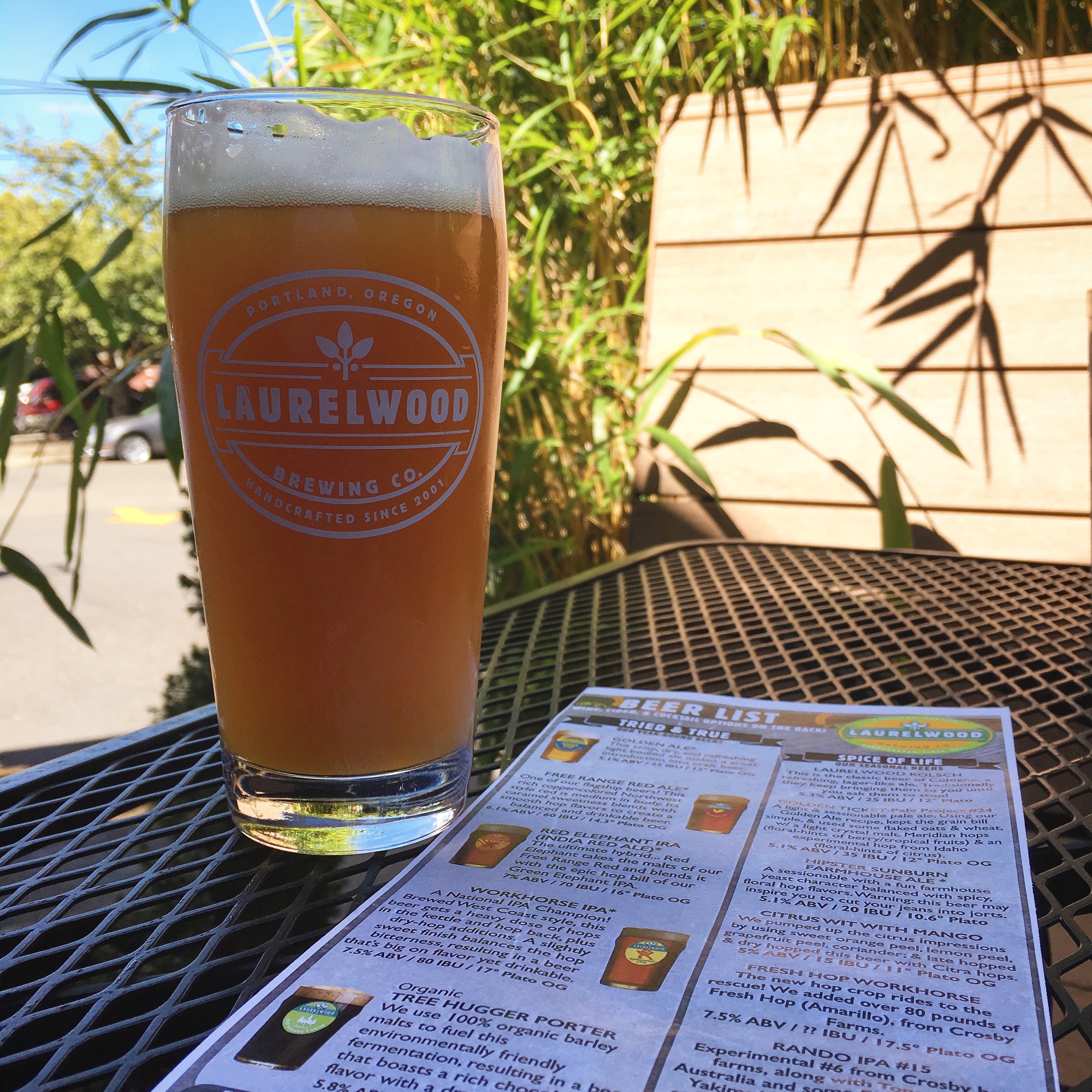 A pint of 2016 Fresh Hop Workhorse IPA from Laurelwood Brewing.