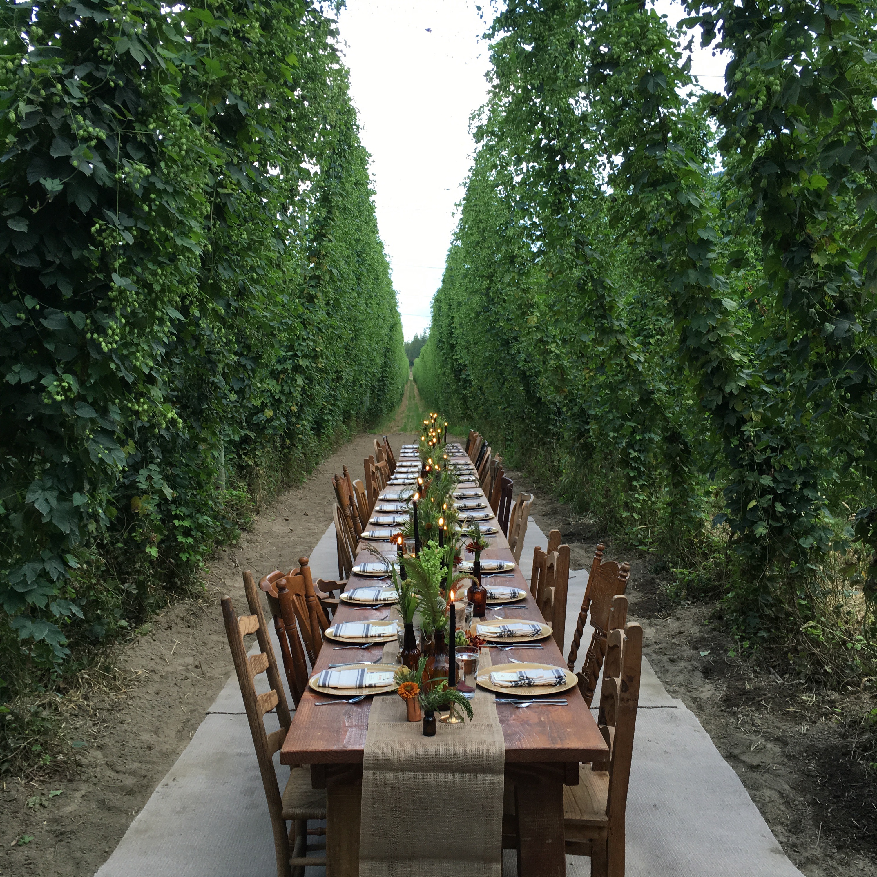 The table is set for the Farewell Beer Dinner at Elk Mountain Farms. 