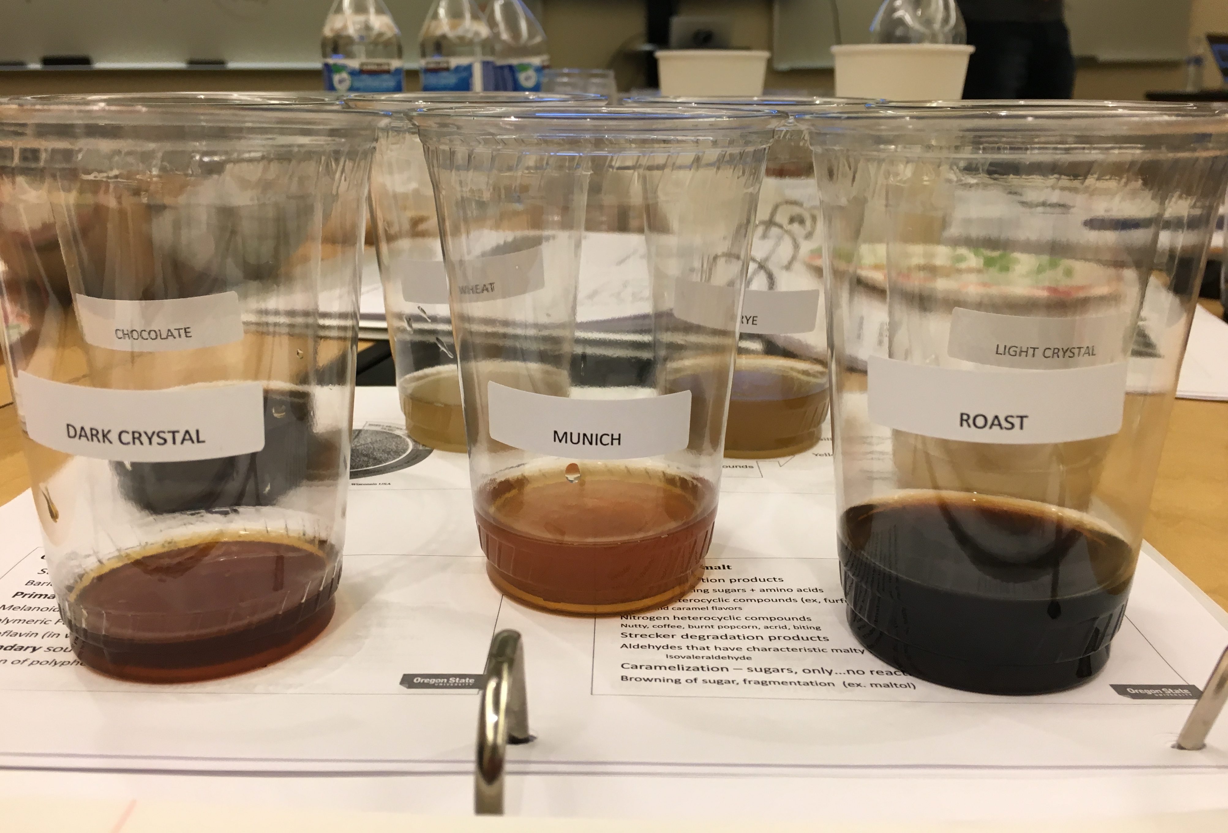 Flavor analysis during the Oregon State University PACE course Origins of Beer Flavors and Styles.