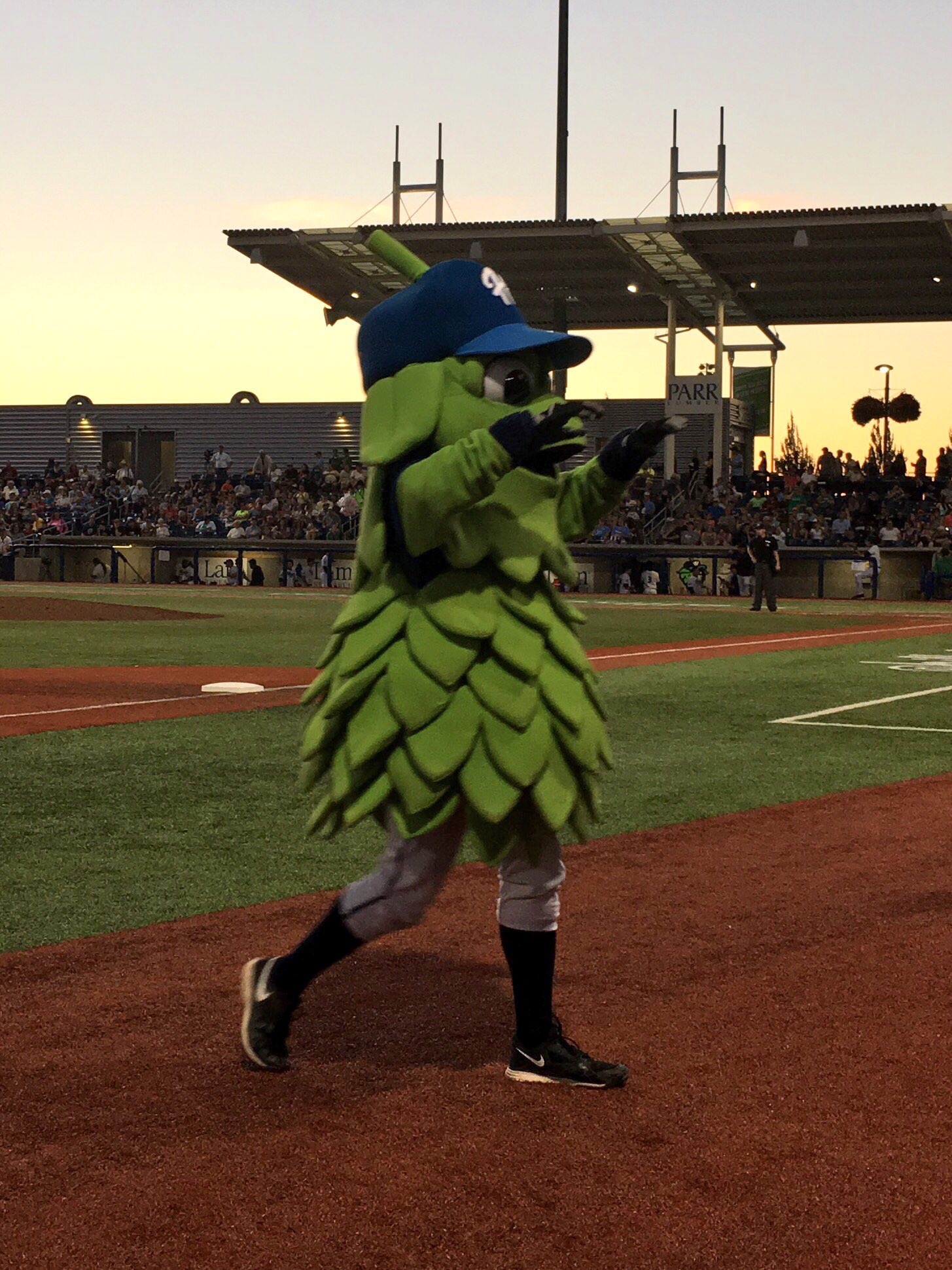 Hillsboro Hops - Barley is wearing his mask. Barley is