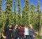 Laughing Planet Staff at B&D Hop Farm. (image courtesy of Backwoods Brewing)