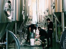 image of brewing the pFriem + Wayfinder Beer Landbier Hell courtesy of pFriem Family Brewers