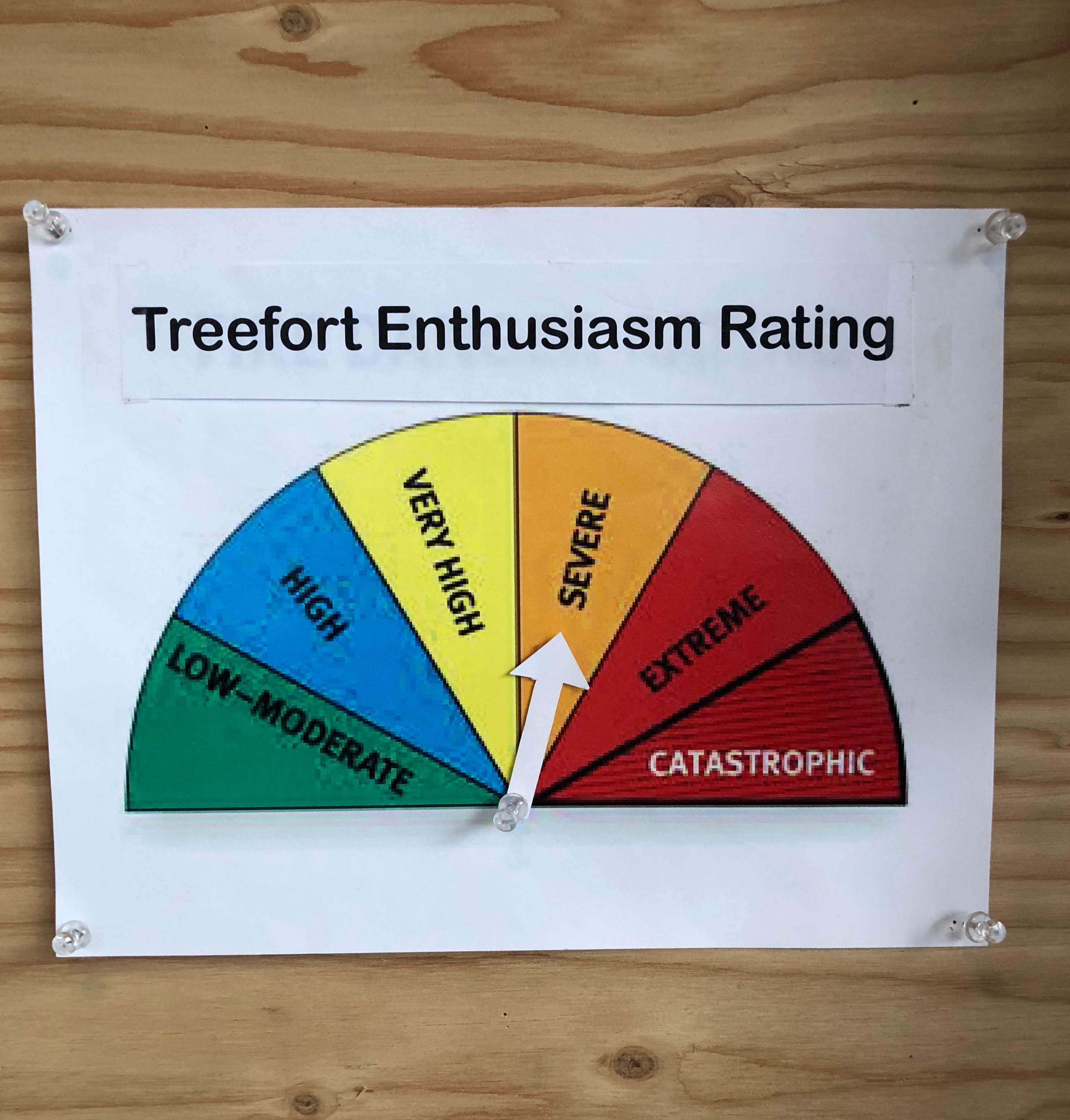 The Treefort Enthusiasm Rating was SEVERE!