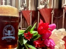 image of a liter and tulips courtesy of Chuckanut Brewery
