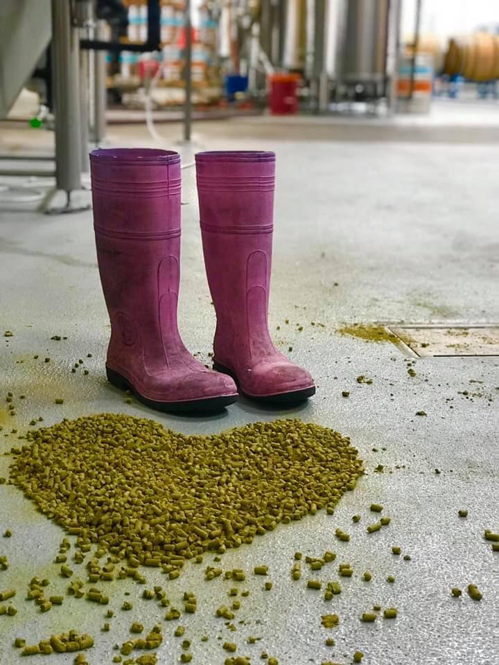 image of hops and Pink Boots courtesy of Yakima Chief Hops