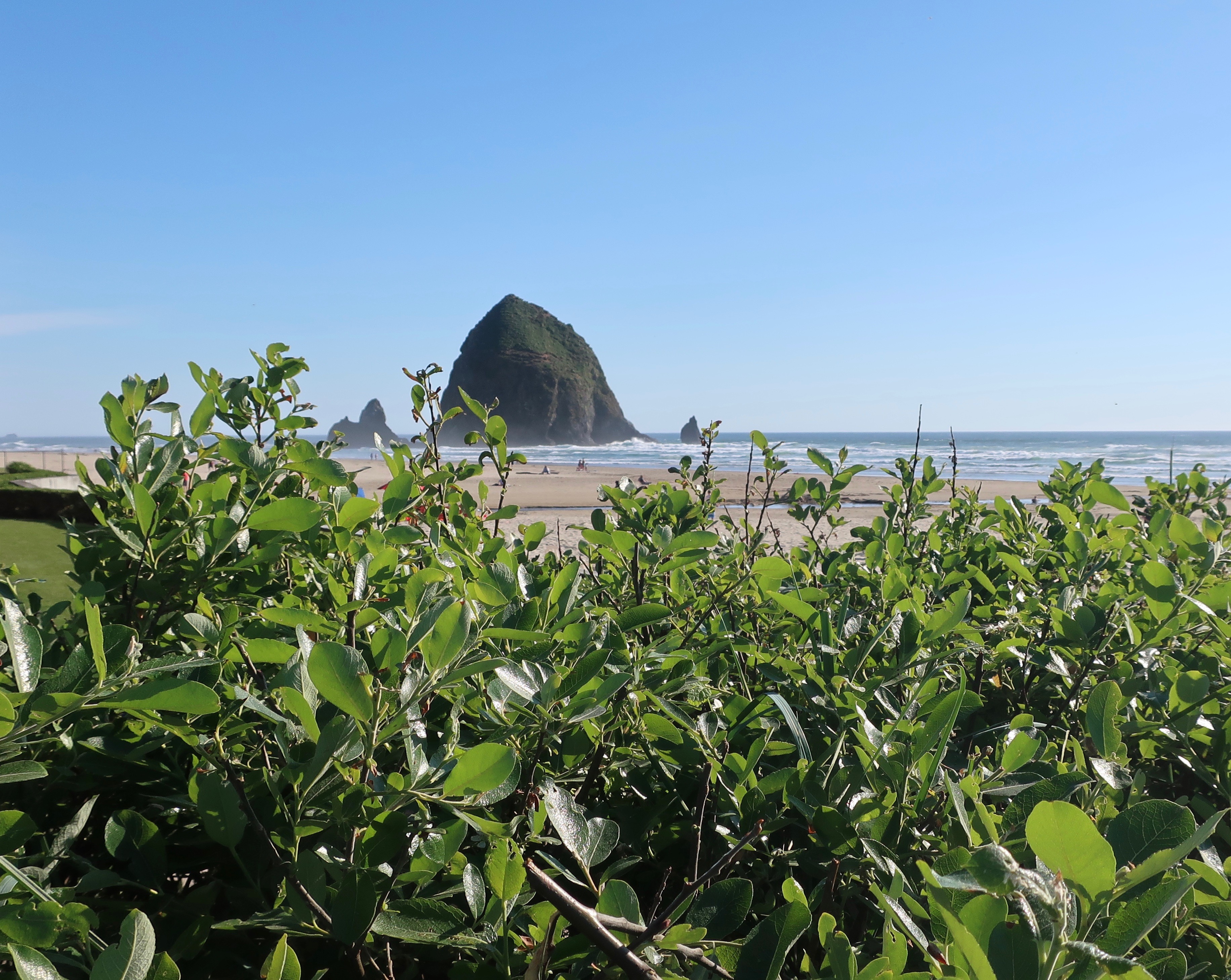 Cannon Beach's iconic Haystack Rock from the Surfsand Resort.