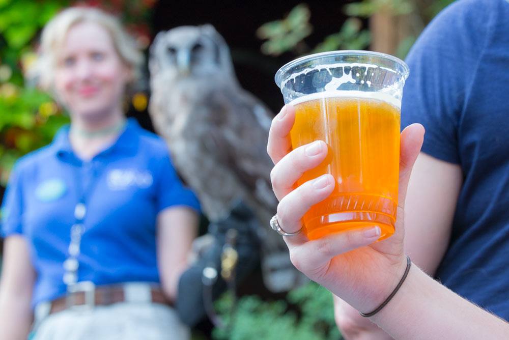 Oregon Zoo returns with Zoo Brew after a short hiatus. (image courtesy of the Oregon Zoo)