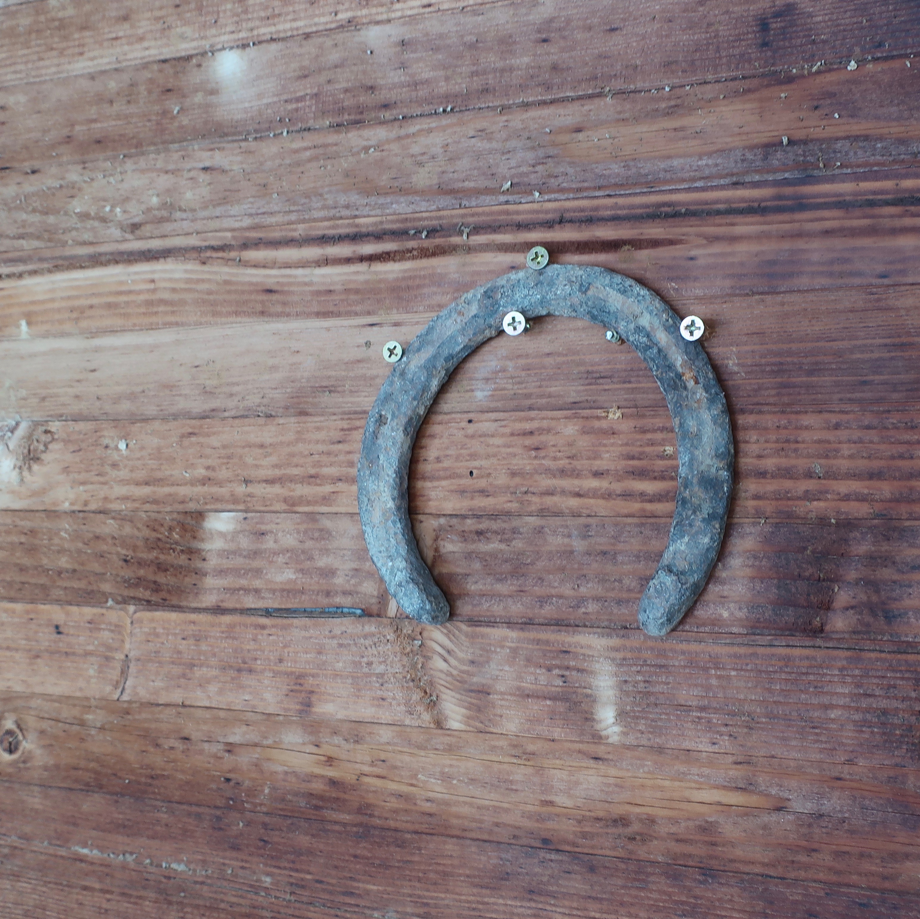 The lucky horseshoe remains at the remodeled Elysian Brewing - Capitol Hill.