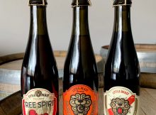 image of Tree Spirit, Country Wizard Brett Super Saison, and Midnight Riot courtesy of Little Beast Brewing