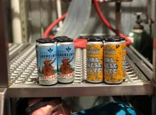 Cans of Kids These Daze Hazy IPA and Portlandia Pilsner. (image courtesy of Laurelwood Brewing)