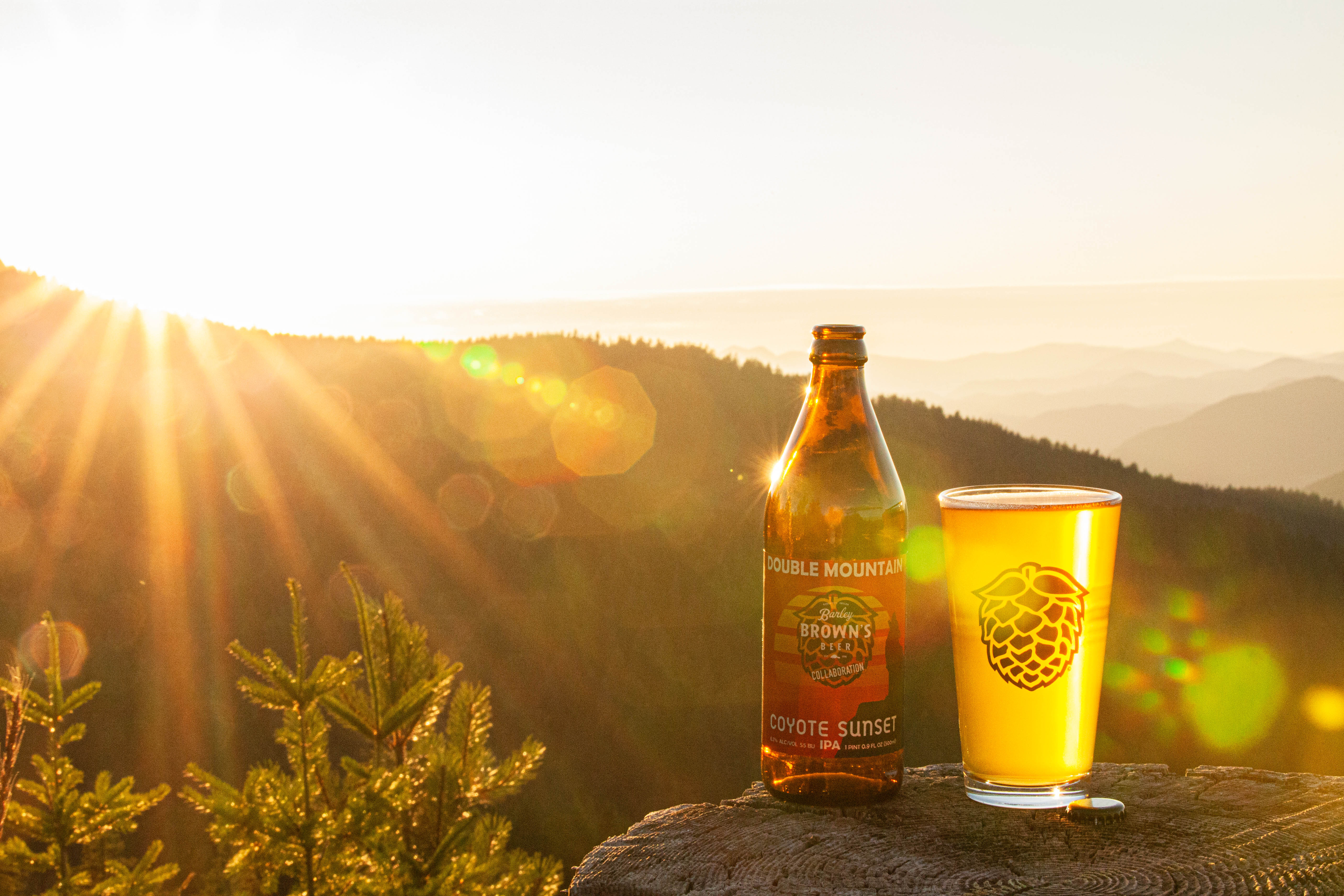 image of Double Mountain Brewery & Barley Brown's Beer Coyote Sunset IPA courtesy of Double Mountain Brewery
