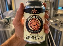 image of Exuberance Summer Sour courtesy of Worthy Brewing