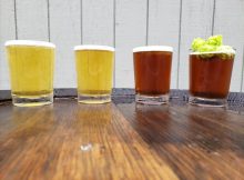 image of German-style beers courtesy of Montavilla Brew Works