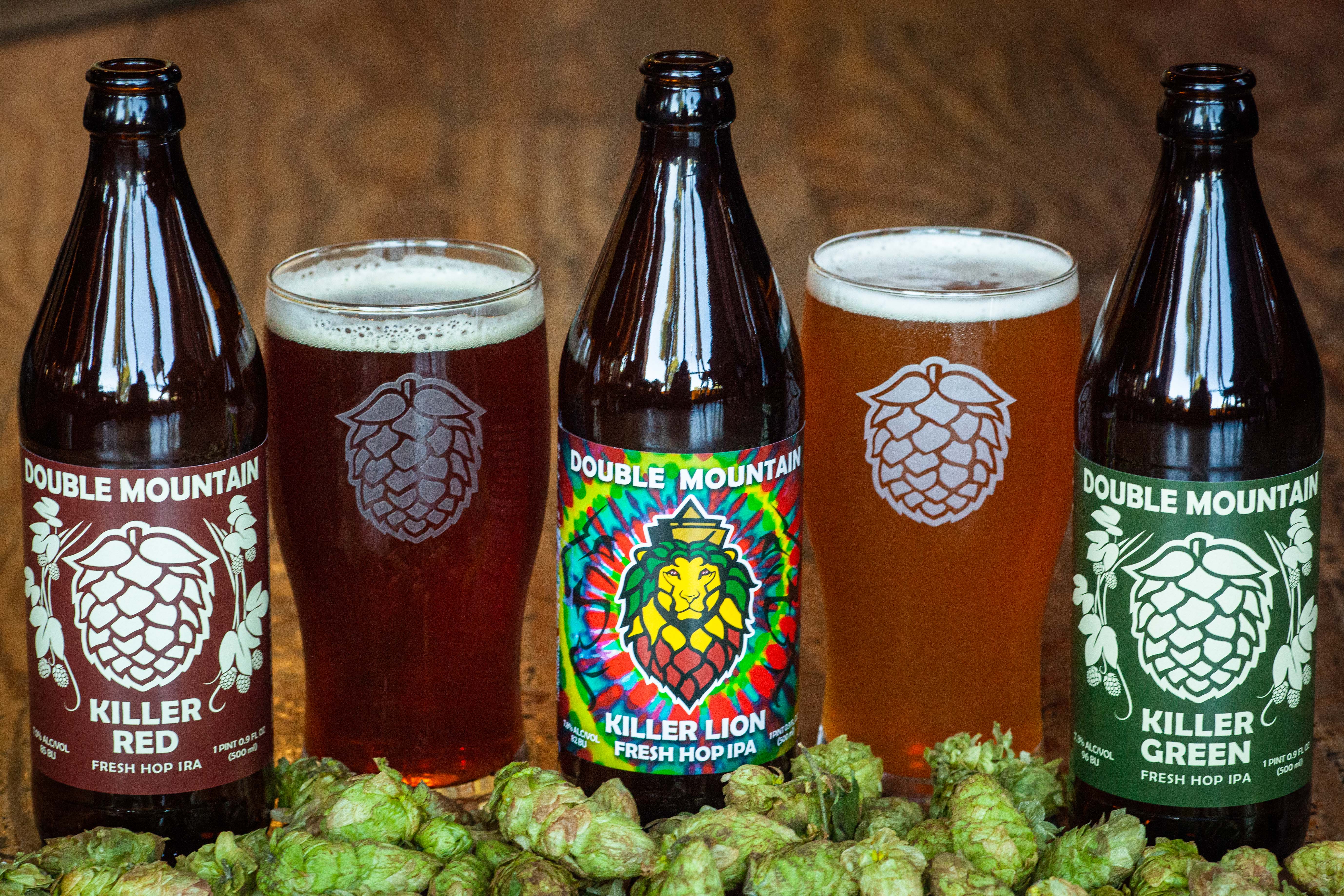 image of fresh hop beers courtesy of Double Mountain Brewery