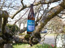 image of New World Ale courtesy of Chuckanut Brewery