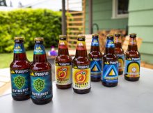 Updated Pyramid packaging for its Outburst Imperial IPA, Apricot Ale, Hefeweizen, and Curveball Blonde Ale. (image courtesy of Pyramid Brewing)