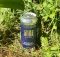 image of Blueberry Hard Seltzer courtesy of Public Coast Brewing