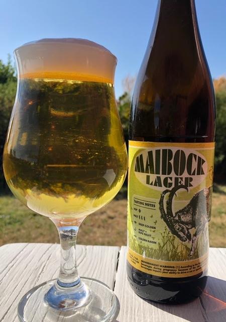 image of Maibock Lager courtesy of Chuckanut Brewery