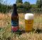 image of Summer Pale Ale courtesy of Chuckanut Brewery