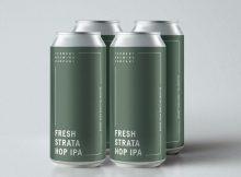 image of Fresh Hop Strata Hop IPA courtesy of Ferment Brewing Co.