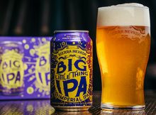 image of Big Little Thing courtesy of Sierra Nevada Brewing