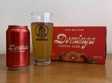 Dominga is a new citrus sour ale from New Belgium Brewing.