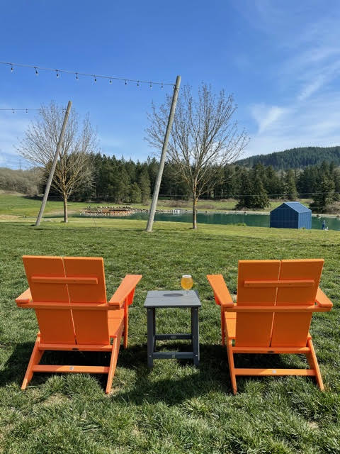 There is plenty of safe, socially distanced outdoor seating at Crowing Hen Brewery. (image courtesy of Ryan Rhea at Crowning Hen Brewery)
