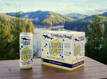 image of Lemon Quest Non-Alcoholic Wheat Brew courtesy of Dogfish Head Craft Brewery
