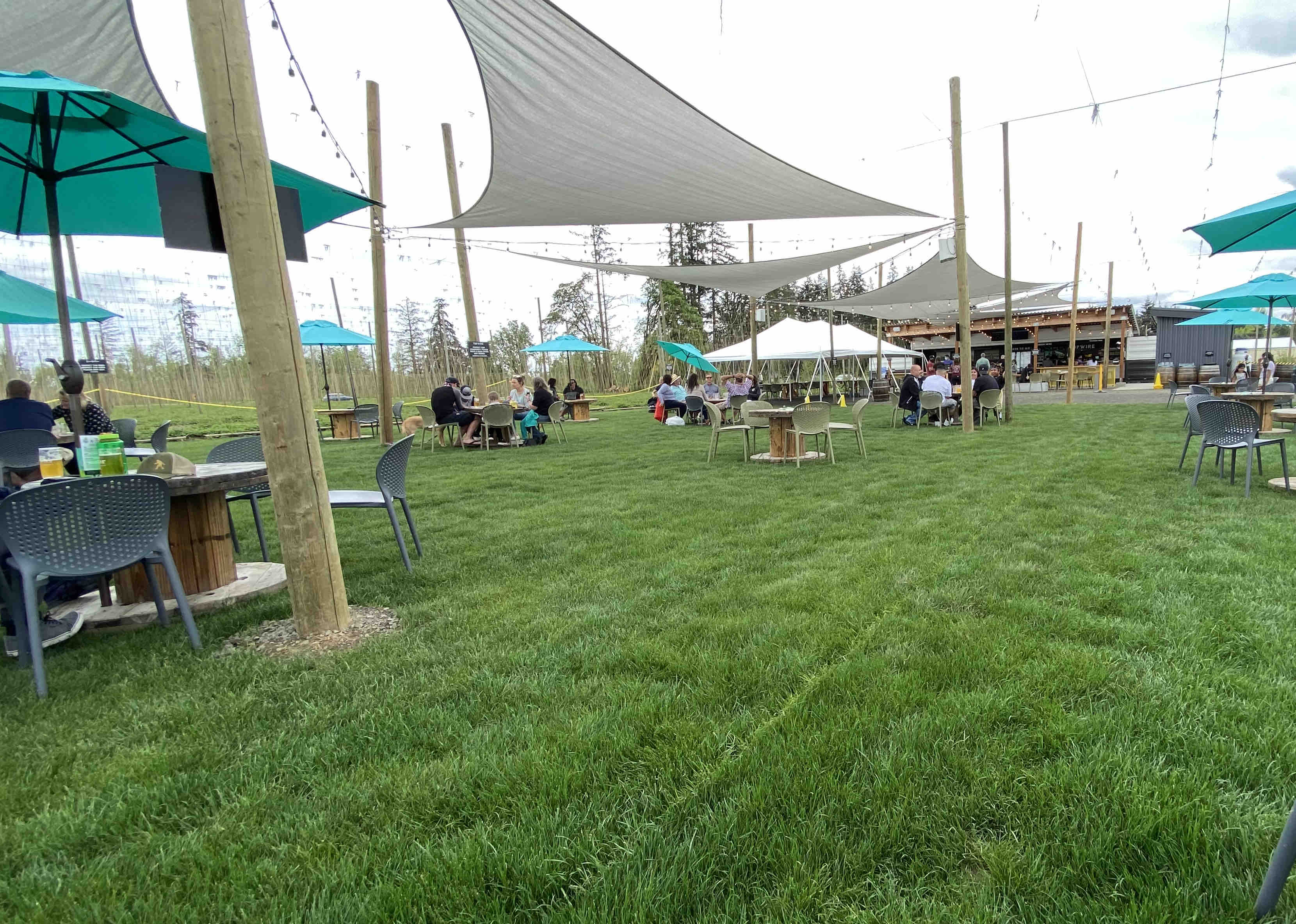 TopWire Hop Project Beer Opens for 2021 Season