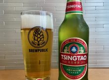 A 12oz bottle of Tsingtao poured into a Brewpublic Willi Becher glass.