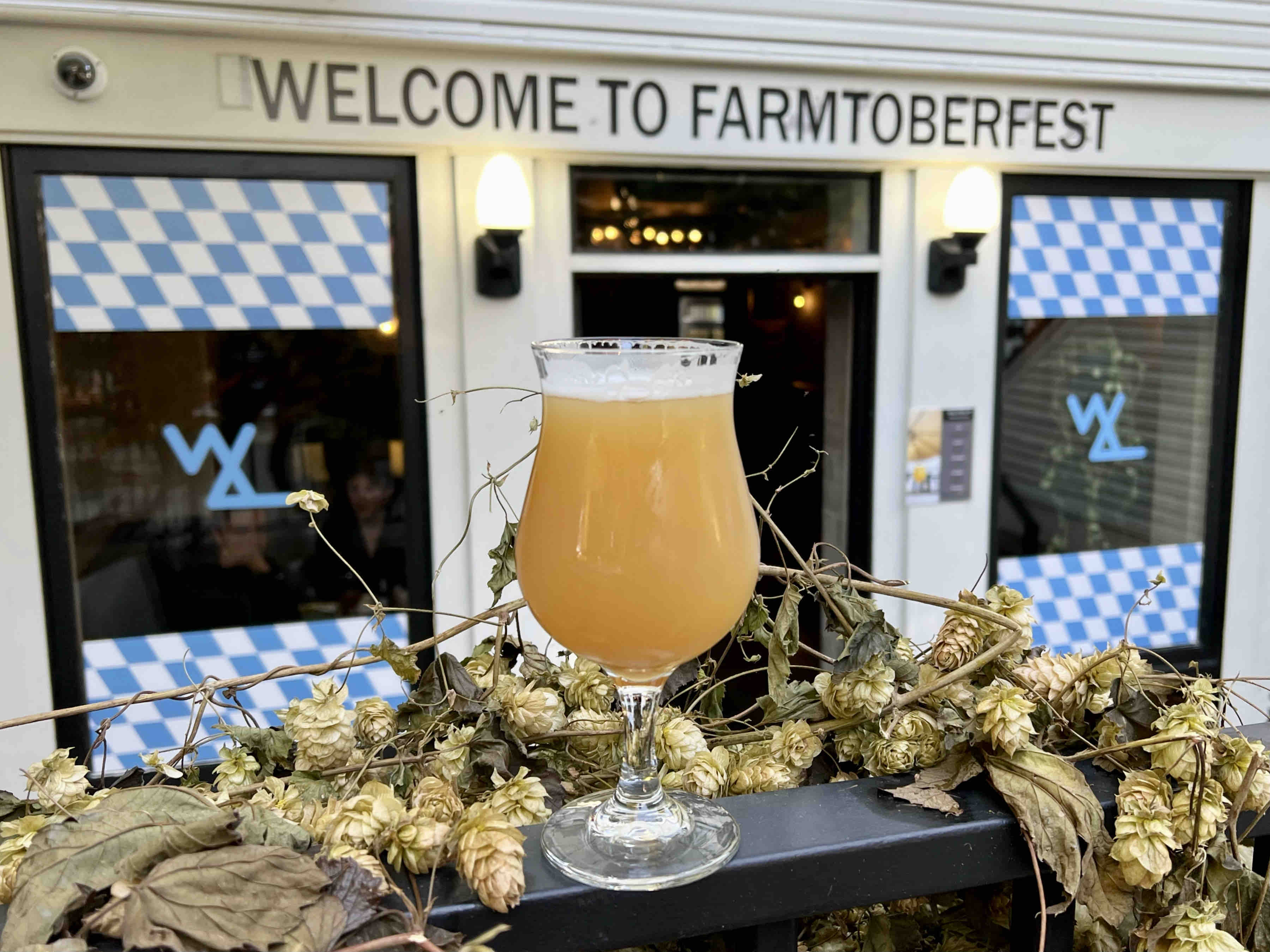 A Wolf of Wheat from Wolves & People Farmhouse Brewery at Function PDX as it hosts Farmtoberfest during the month of October 2021.