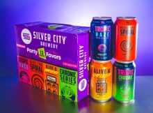 image of Party Favors Variety 12-Pack courtesy of Silver City Brewery