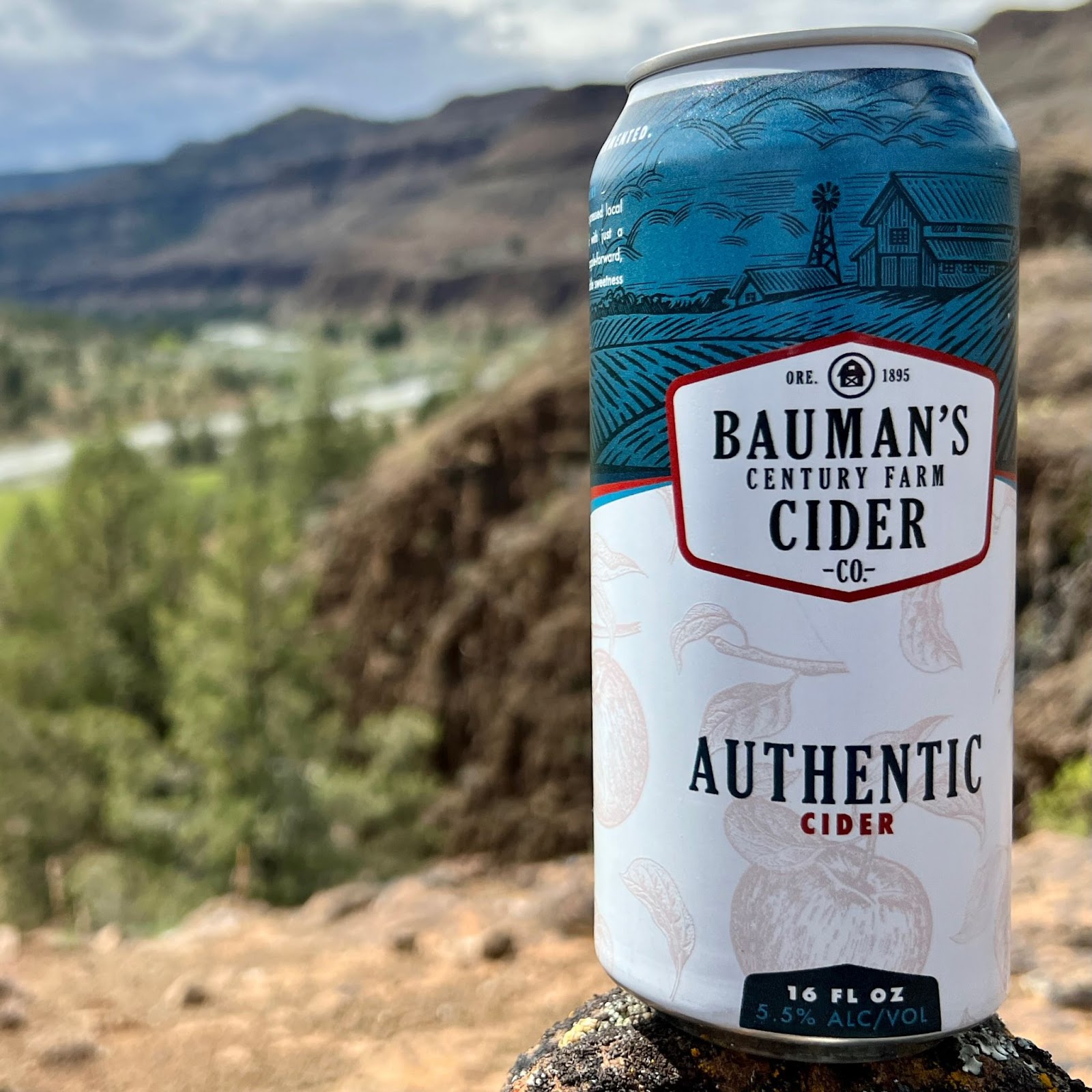 image of Authentic Cider courtesy of Bauman's Cider