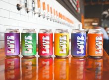 image of Colors of Love courtesy of Migration Brewing