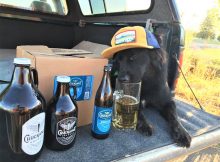 image of beers and a dog courtesy of Chuckanut Brewery