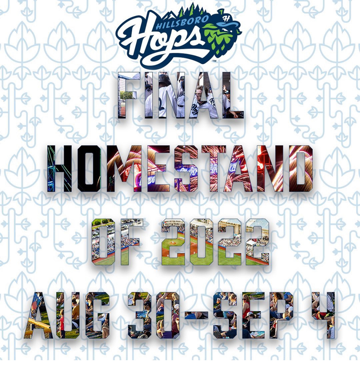 Hillsboro Hops Debut 10th Anniversary Branding